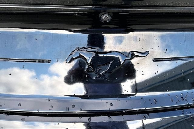 2022 Ford Mustang EcoBoost