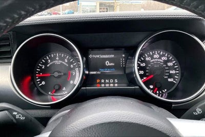 2022 Ford Mustang EcoBoost