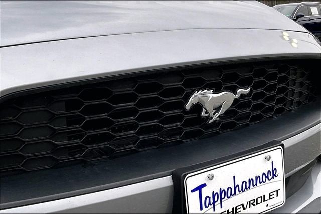 2022 Ford Mustang EcoBoost