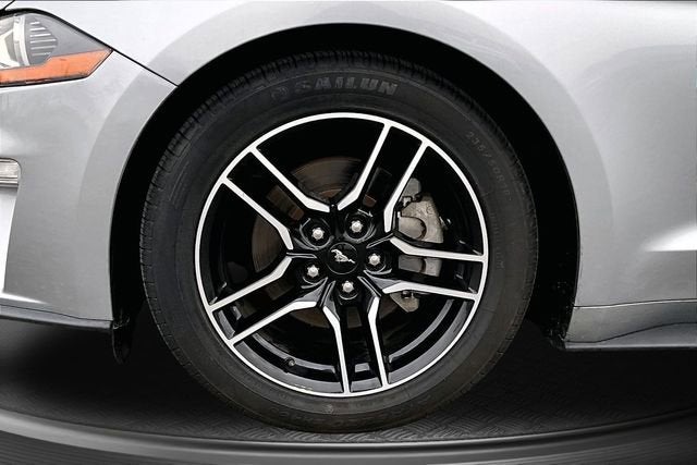 2022 Ford Mustang EcoBoost