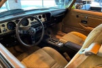 1981 Pontiac Firebird Trans Am